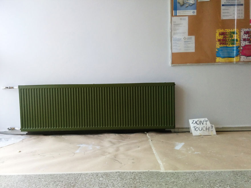 I Created The Cactus Oasis In A Finnish School I Created The Cactus Oasis In A Finnish School