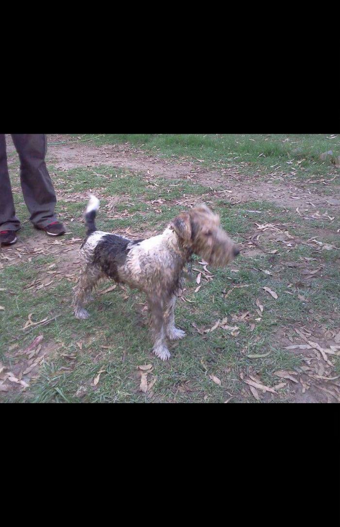 The Mud Makes Me Very Happy!!!!!!!