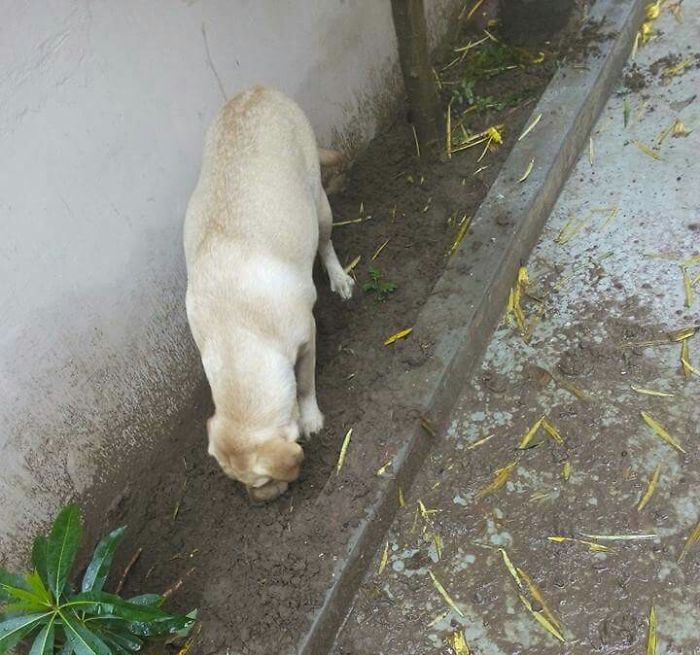 I Am Just Trying To Test Is It Real Mud?