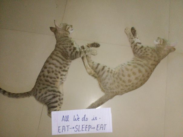 I Wish To Have A Life Like The😌