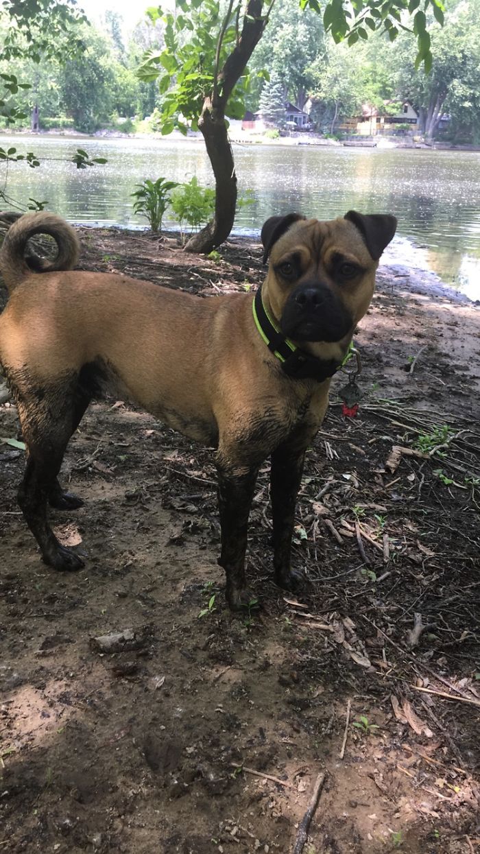 I Don't Know What Your Talking About Mom!? My Legs Have Always Been This Color!