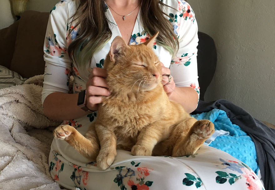 We Adopted A Stray Cat And He Can't Stop Showing His Gratitude