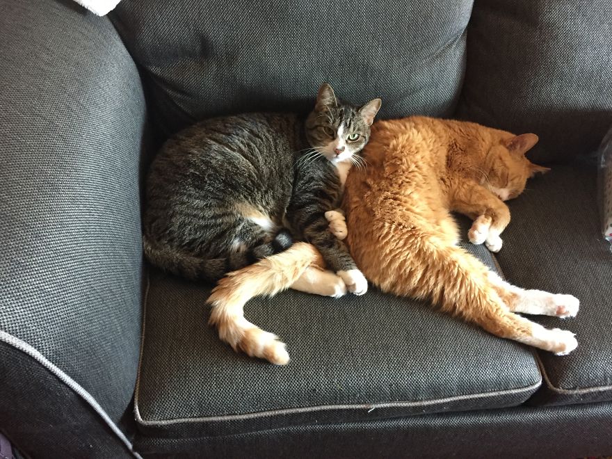 What?? I Swear He Likes Me...