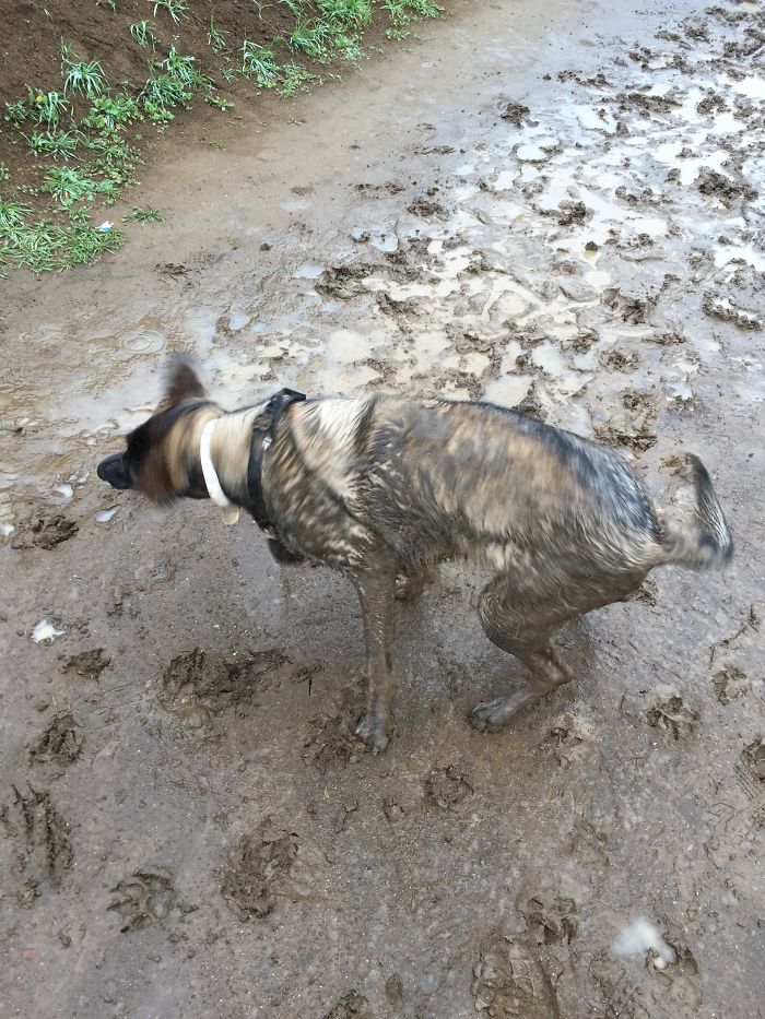 Wondering Why You're Still So Clean