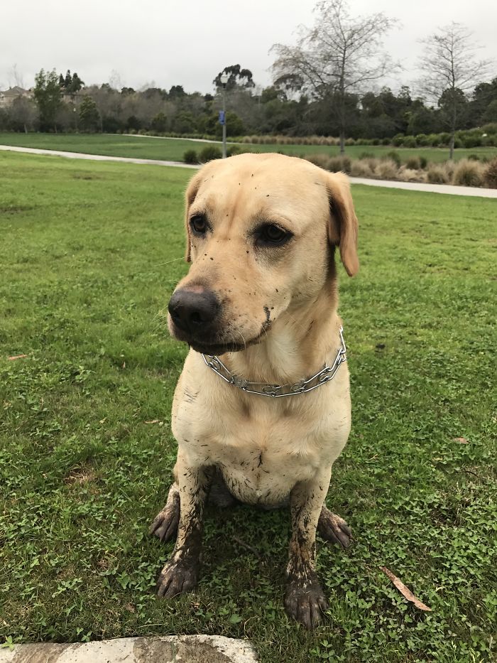 Does This Mean I Need Another Bath? It Was Worth It!!