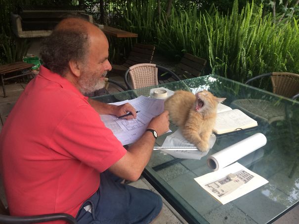 I'm Much More Important Than Your Work!