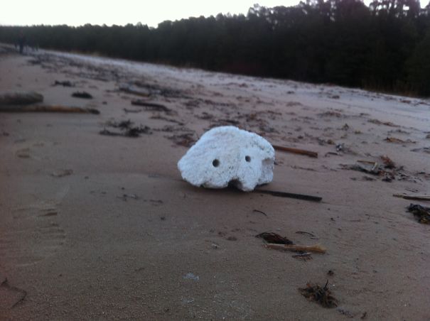 Friendly Face After Long Night Hiking By Latvia Coast Line