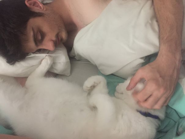 He Said He Wasn't A Cat Person When We Met.