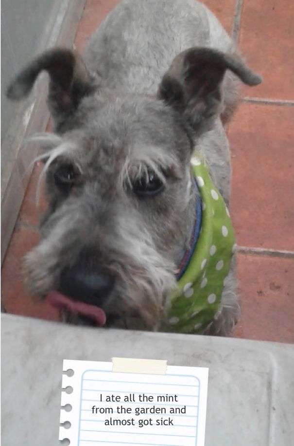 Poor, But Not Inocent!