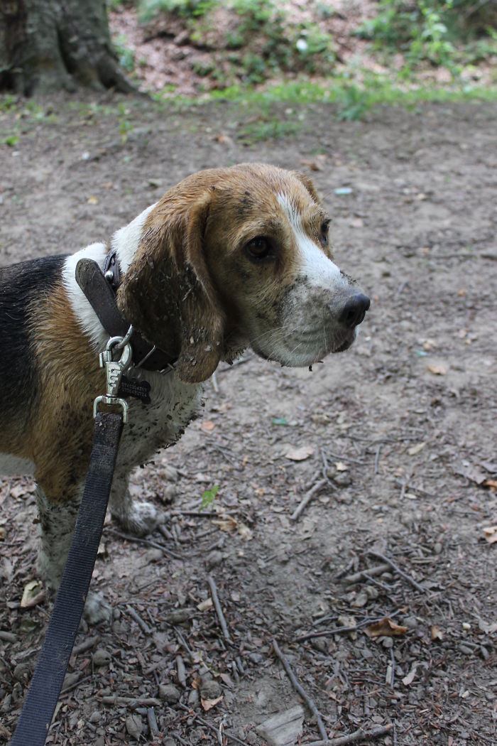 Not Really Proud Of Him