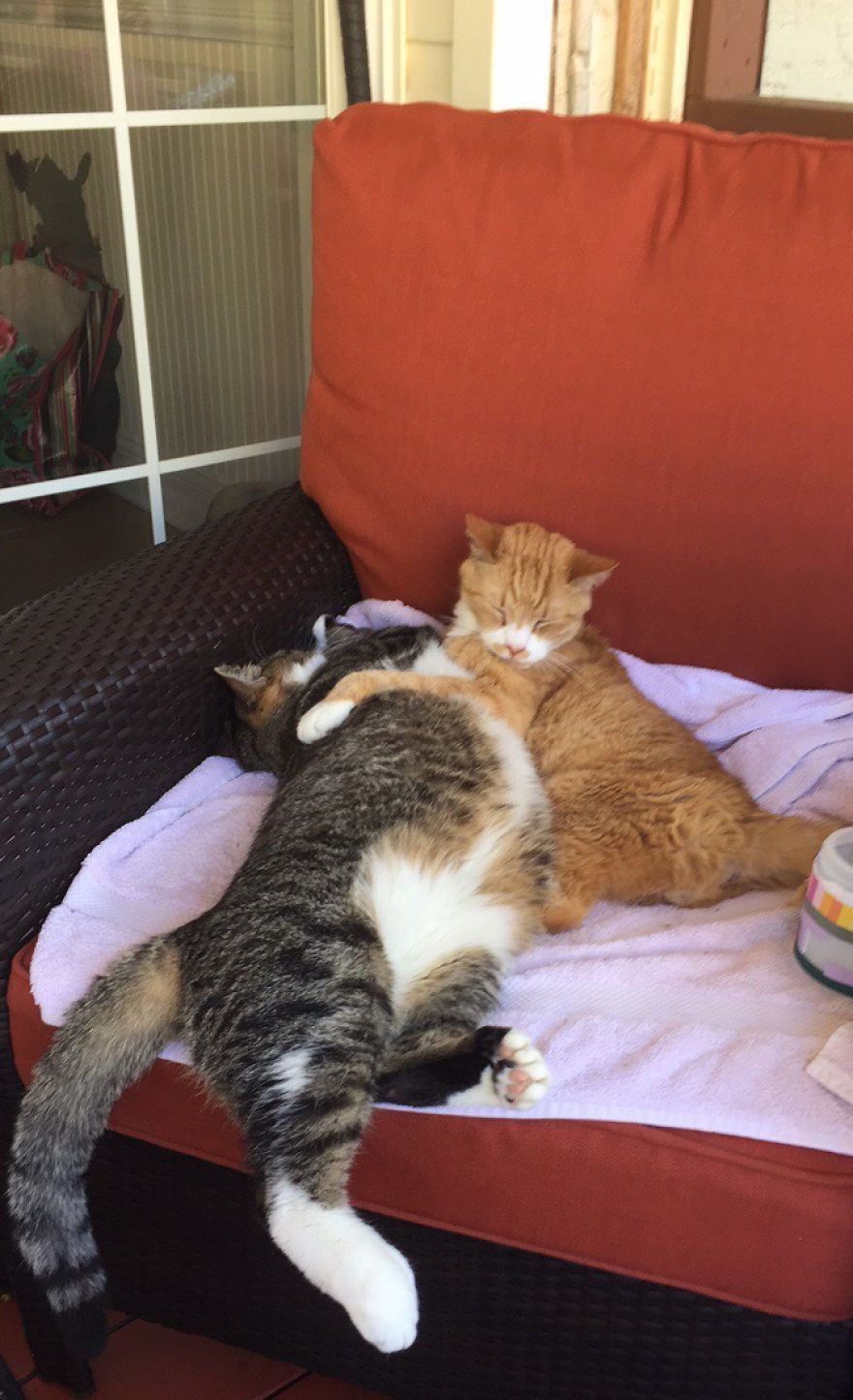 She Is Still Being Invasive... She Is Still Being Invasive...