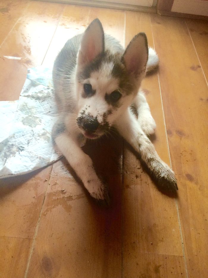 I Wasn't Digging, Honest