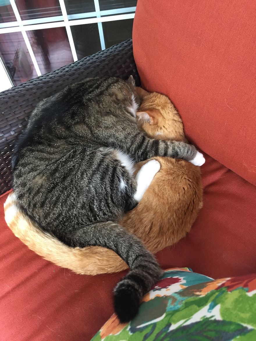 She Is Still Being Invasive... She Is Still Being Invasive...