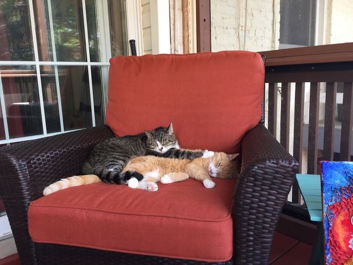 She Is Still Being Invasive…