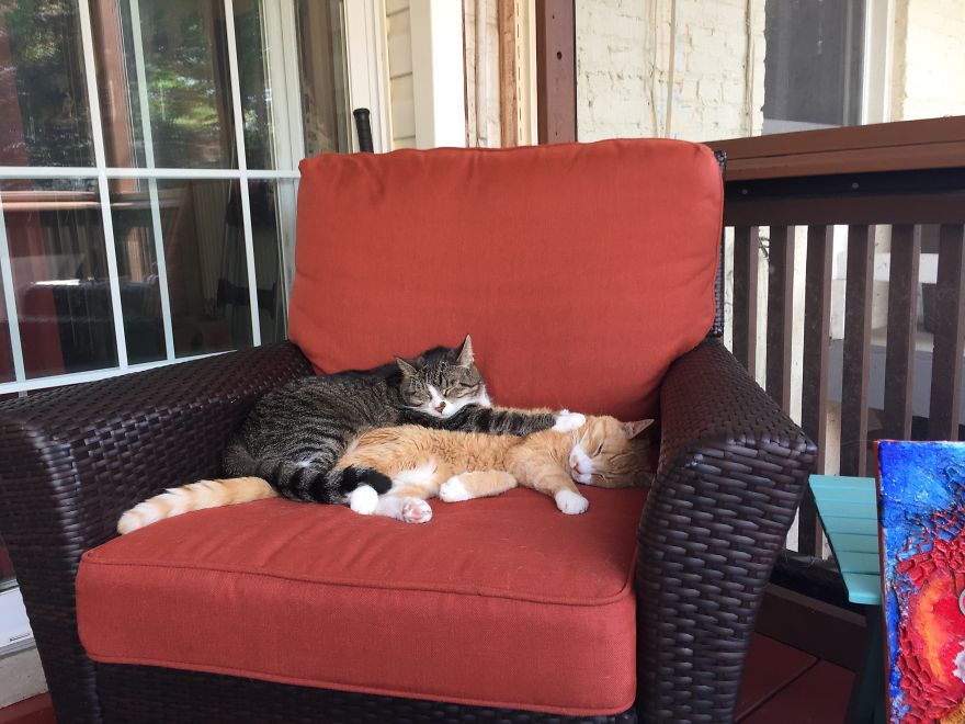 She Is Still Being Invasive... She Is Still Being Invasive...