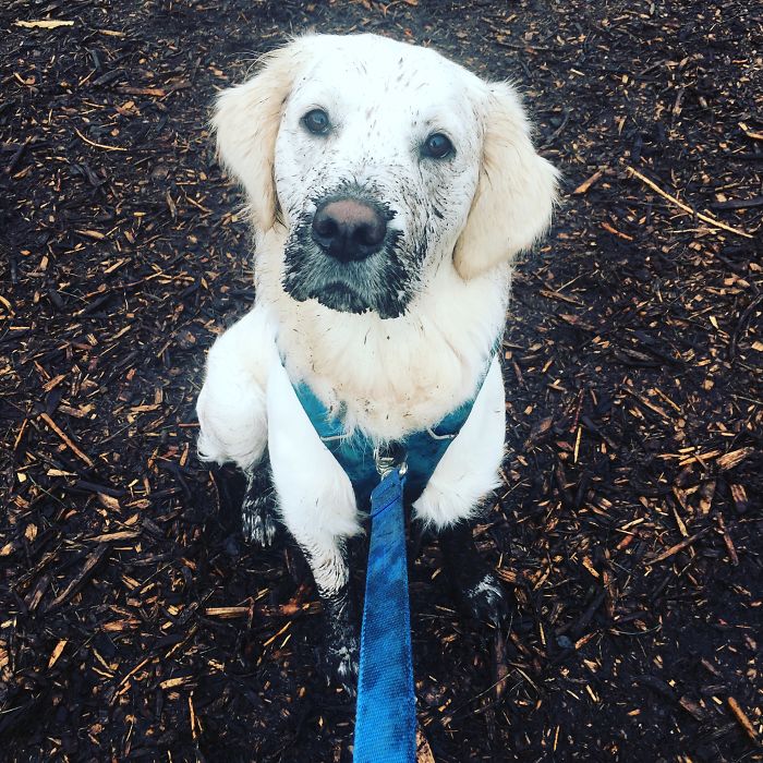 He Was Trying To Blow Bubbles In It...