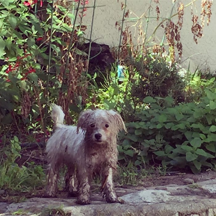 Someone Came Out To Have A Good Time And Is Honestly Feeling A Little Attacked Right Now.