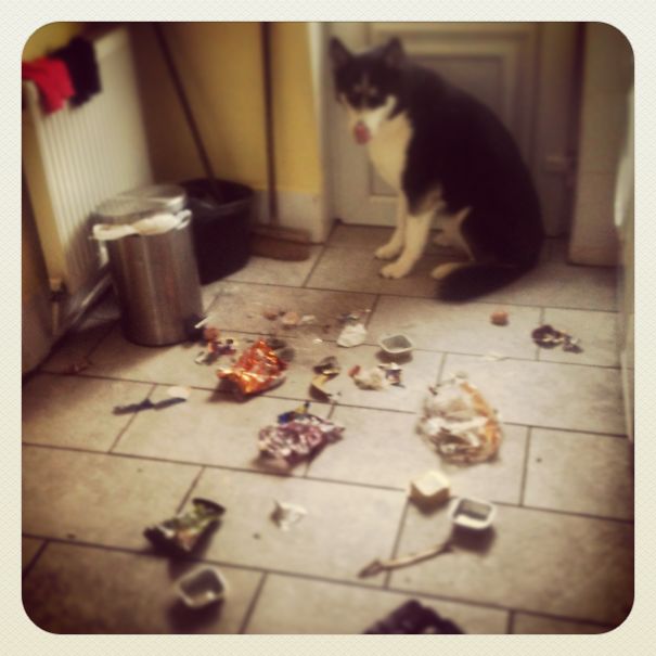 My Hubby Said He Took Out The Trash, Came Home To This.