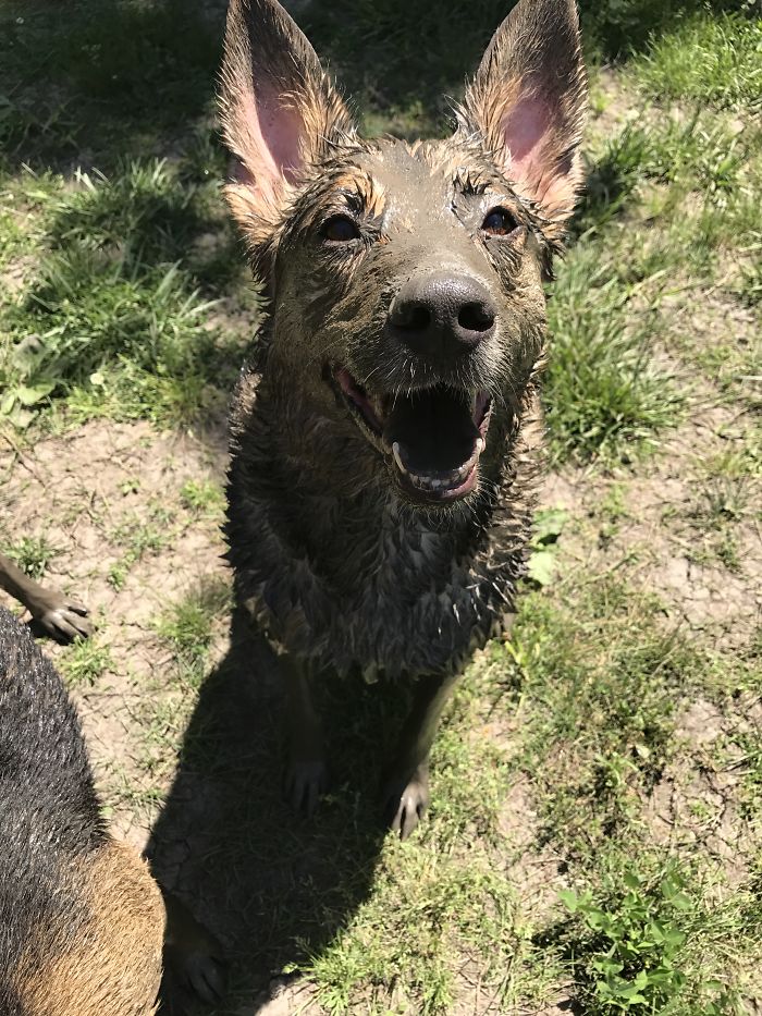 Covered From Head To Toe