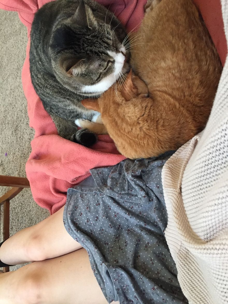 Hmmm... How Can I Lay Here Too...