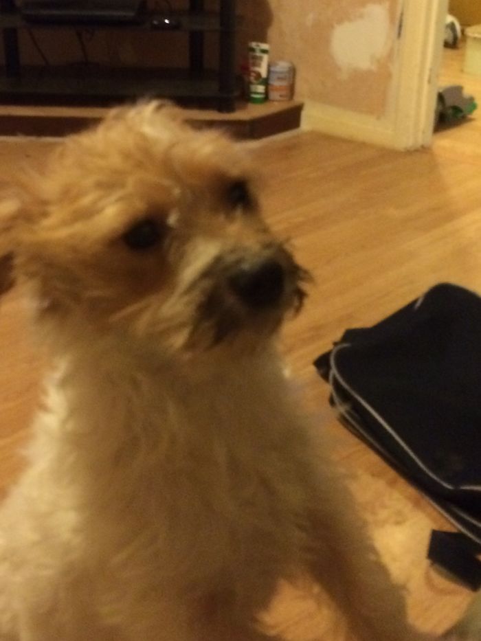 Me! Digging In The Garden? No!!!