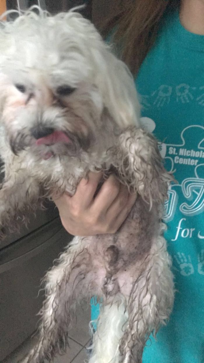 Playing In The Sprinklers