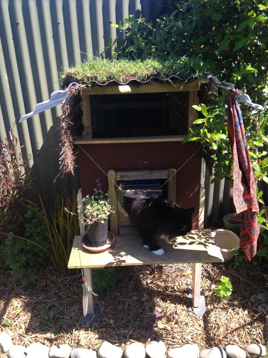 I Created An Outdoor Cat House I Created An Outdoor Cat House