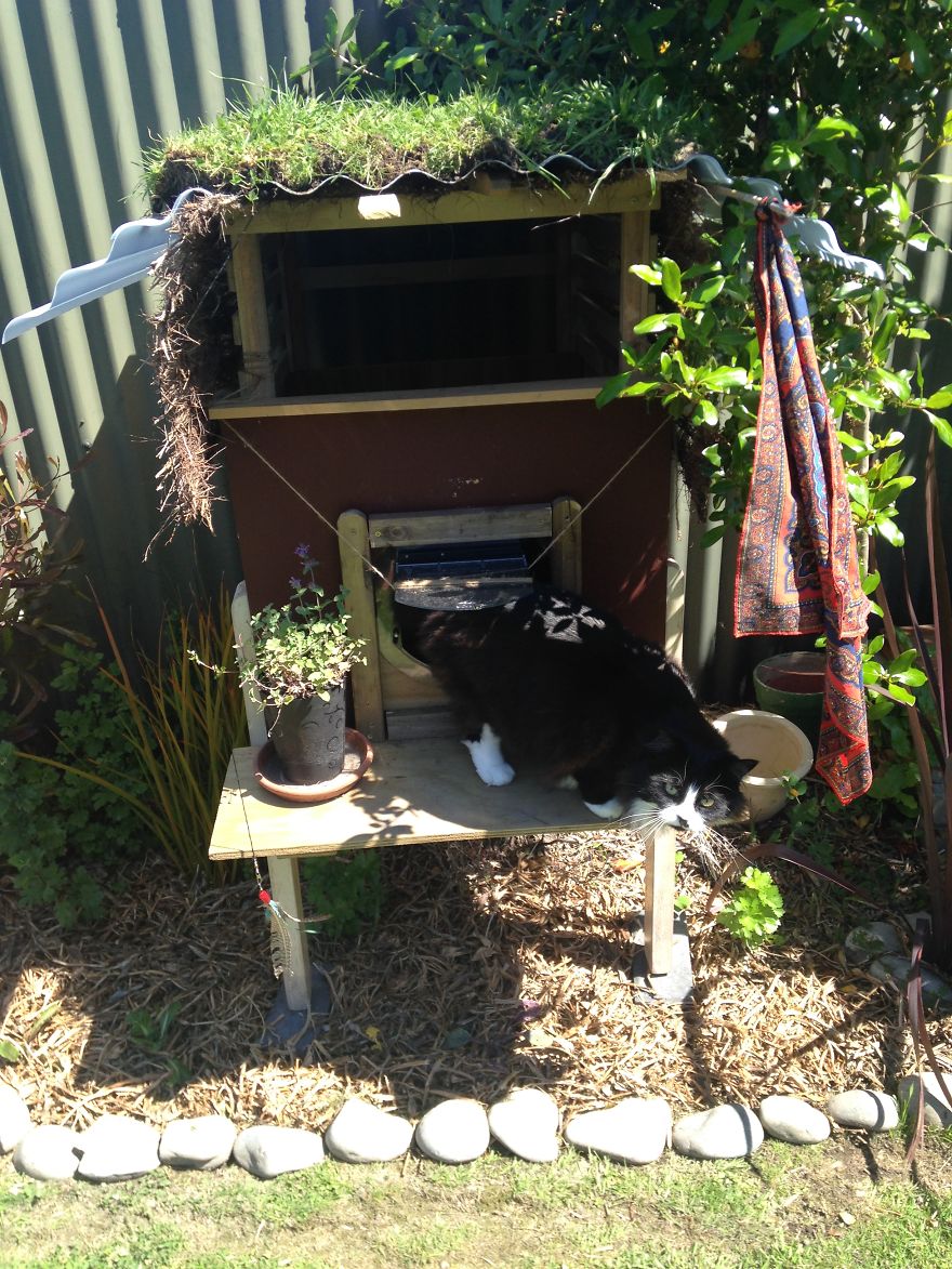 I Created An Outdoor Cat House I Created An Outdoor Cat House