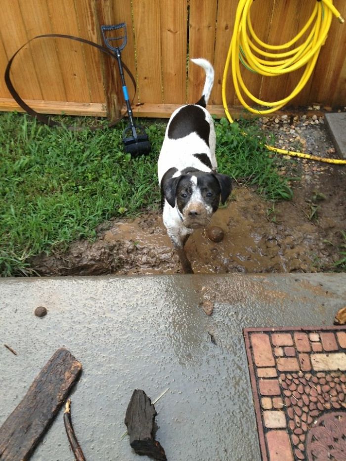 What You Have To Go To Work This Morning, I Was Just Starting To Play.