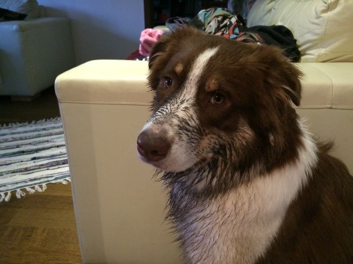 What Mud U Talkin About