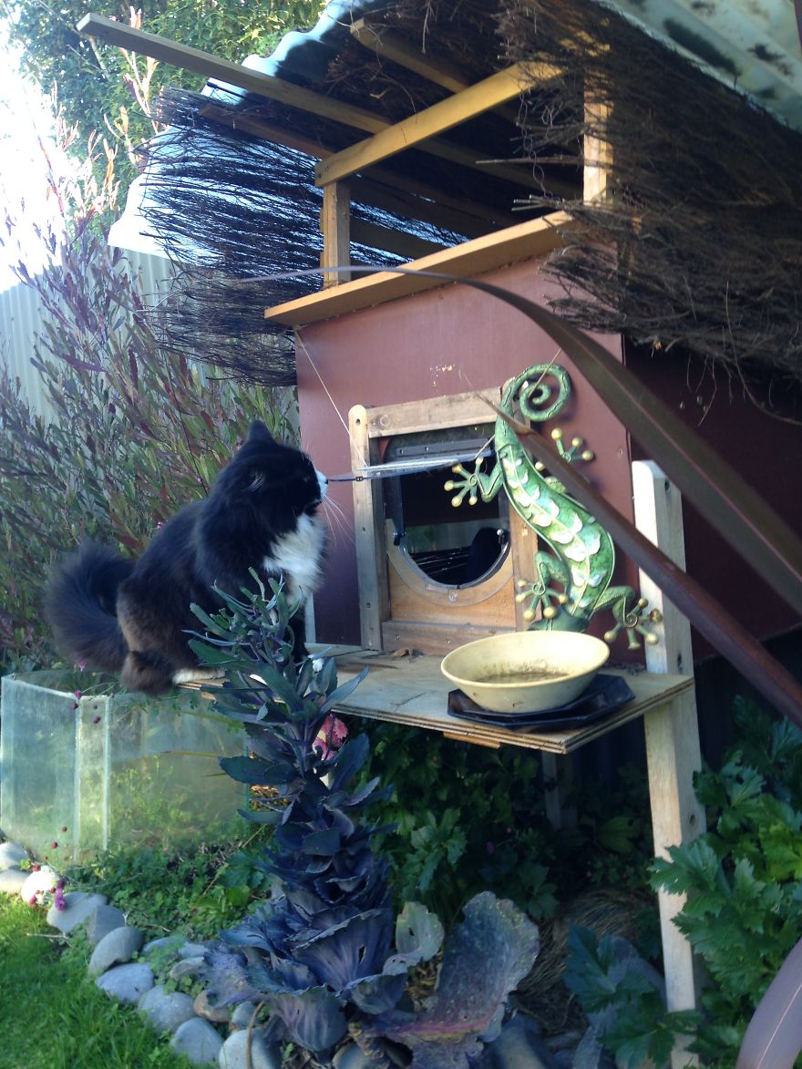 I Created An Outdoor Cat House I Created An Outdoor Cat House