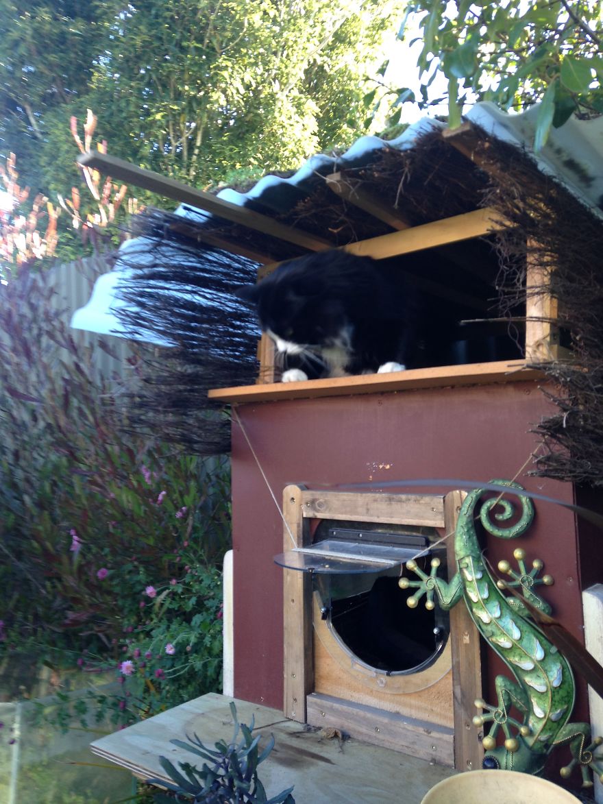 I Created An Outdoor Cat House