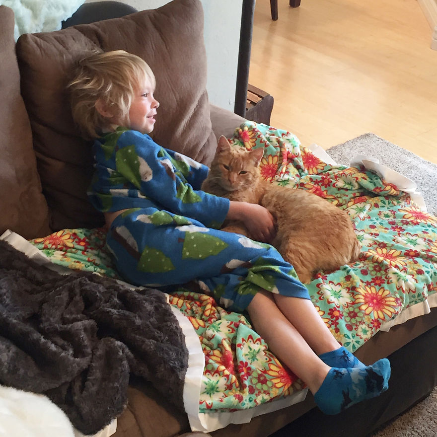 We Adopted A Stray Cat And He Can't Stop Showing His Gratitude