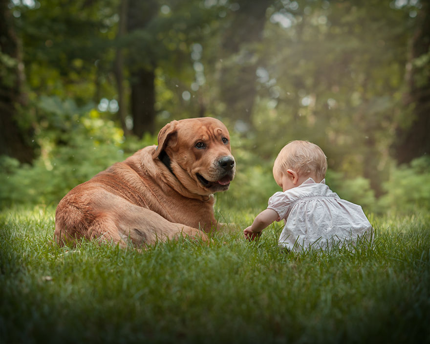 I'm Not Really A "Dog Person", But This Big Red Dog Is Winning My Heart And Here's Why I'm Not Really A "Dog Person", But This Big Red Dog Is Winning My Heart And Here's Why