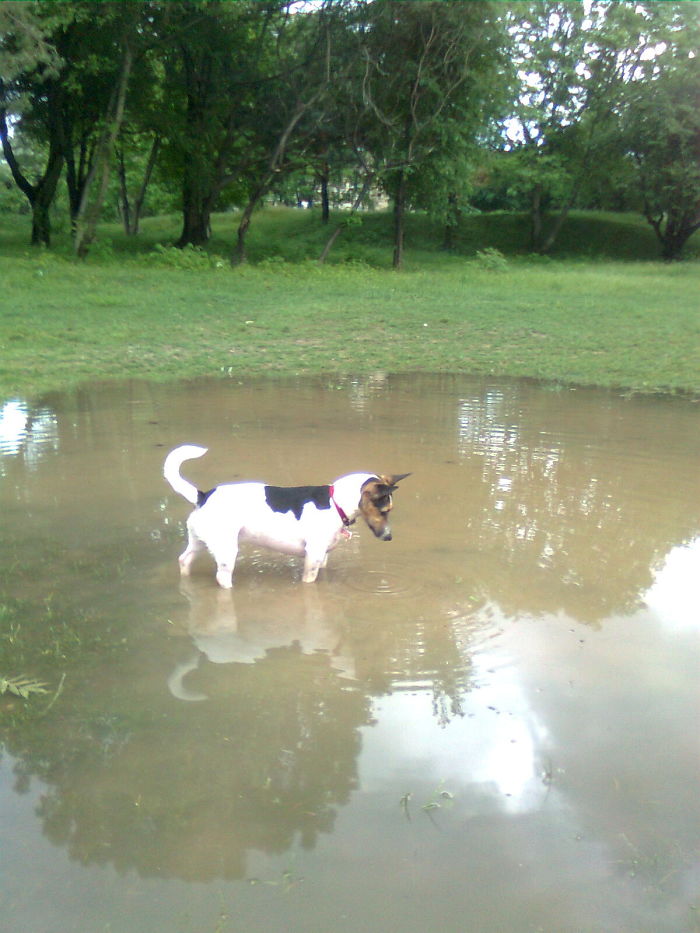 Mirror, Mirror On The Wall...