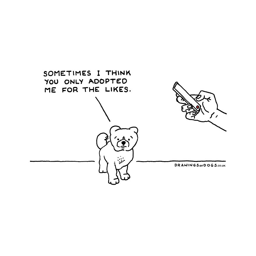 I Started Doing Amusing Drawings Of Dogs When Anxiety Forced Me To Drop Out Of A Philosophy Phd.