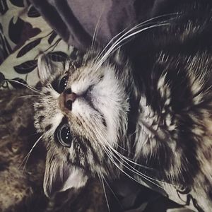 heather_brown avatar