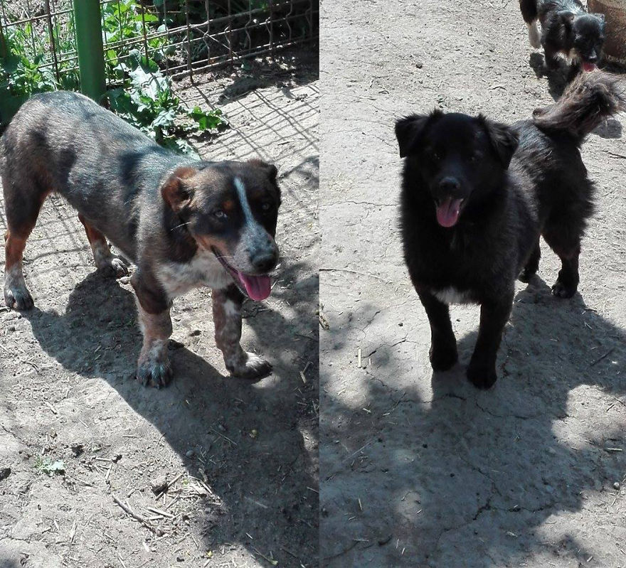 Jack & John - The Strays Jack & John - The Strays