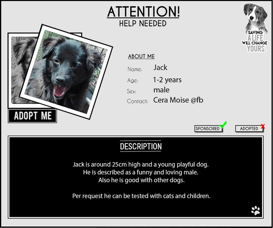 Jack & John - The Strays Jack & John - The Strays