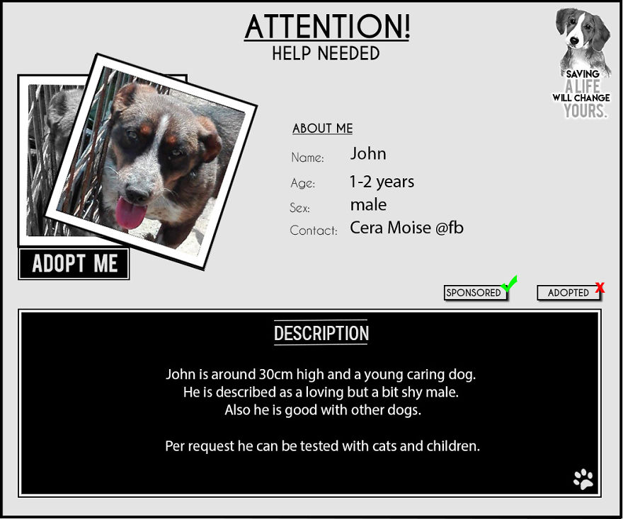 Jack & John - The Strays