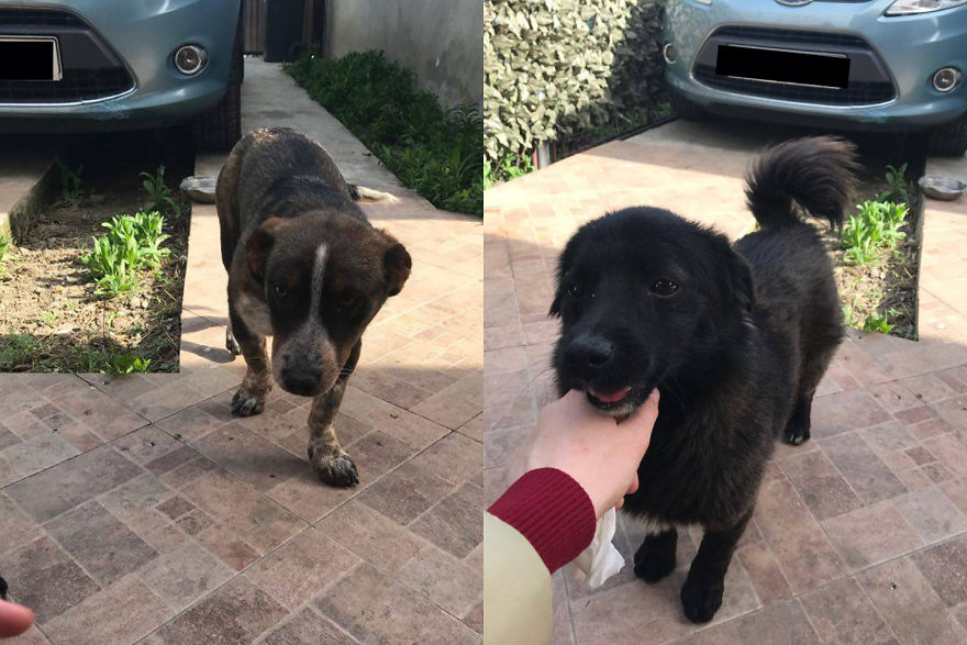 Jack & John - The Strays Jack & John - The Strays