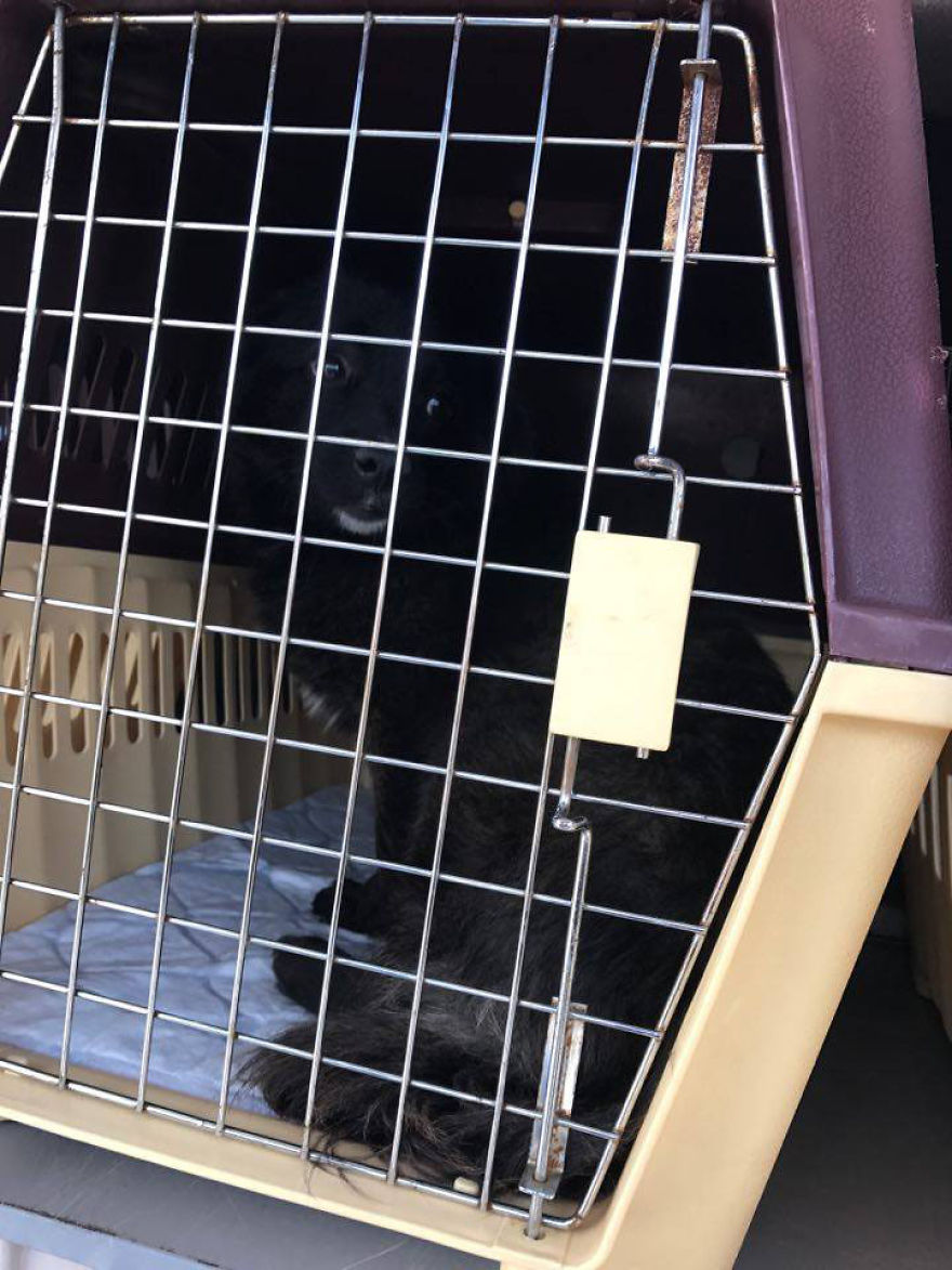 Jack & John - The Strays Jack & John - The Strays