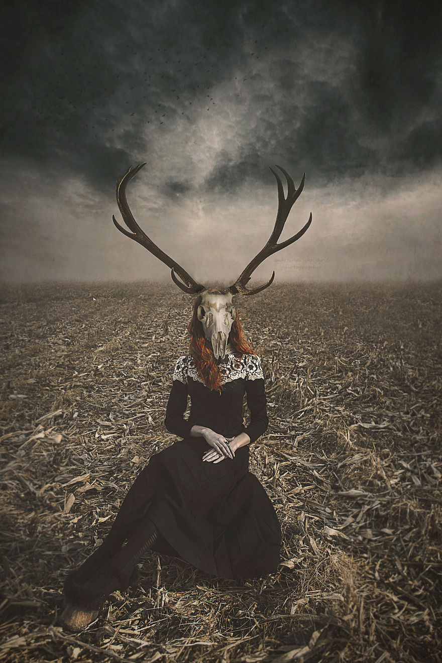 My Dream Of Levitating