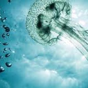 trisho888oceanview avatar