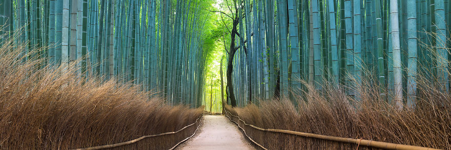 I Bought A $60,000 Digital Camera But I Still Prefer Film. Can You Spot The Difference? I Bought A $60,000 Digital Camera But I Still Prefer Film. Can You Spot The Difference?