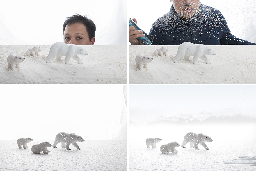 I Created Wildlife Photography In My Room! I Created Wildlife Photography In My Room!