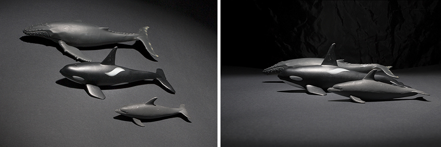 I Created Wildlife Photography In My Room! I Created Wildlife Photography In My Room!