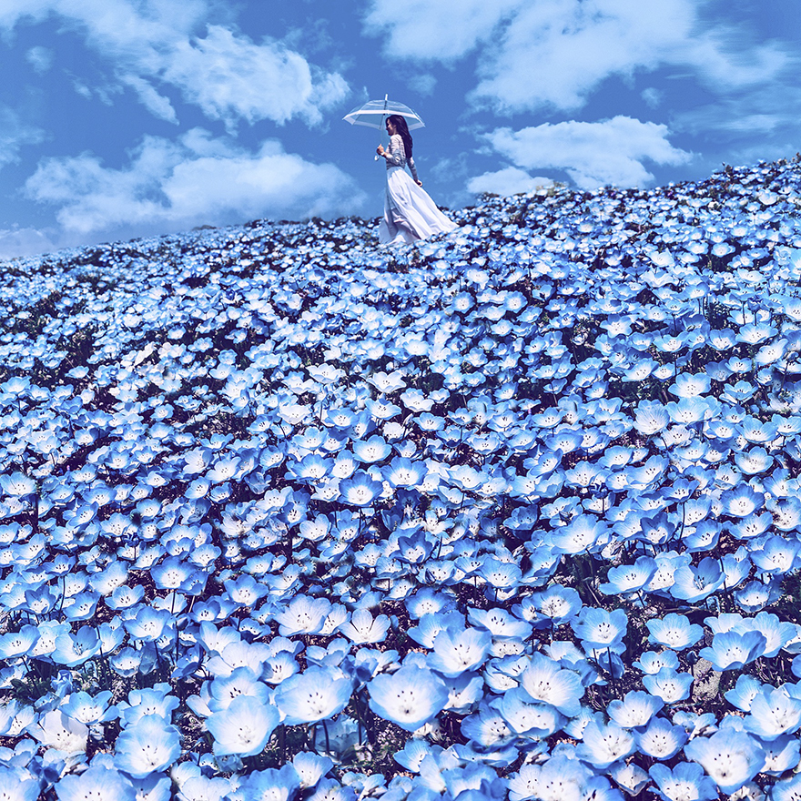 Hitachi Seaside Park