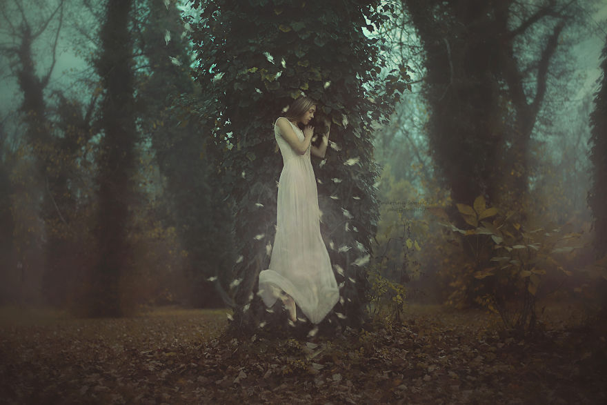 My Dream Of Levitating