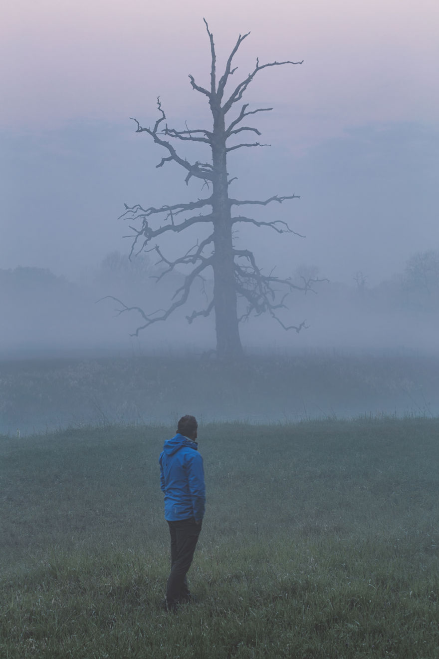 I Photographed Monumental And Unreal Rogalin Oaks